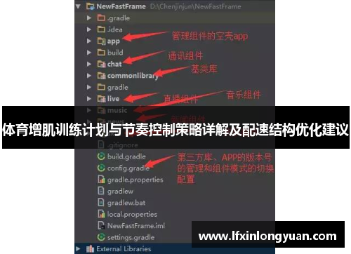 体育增肌训练计划与节奏控制策略详解及配速结构优化建议