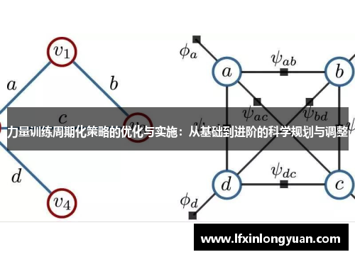 力量训练周期化策略的优化与实施：从基础到进阶的科学规划与调整